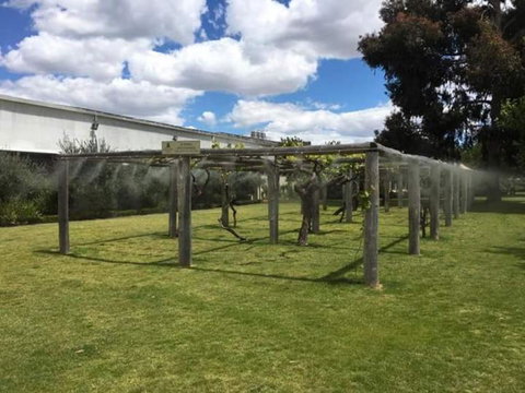Swan Valley Gourmet Wine Cruise From Perth - Accommodation Great Ocean Road 5