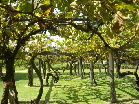 Swan Valley Gourmet Wine Cruise From Perth - Accommodation Great Ocean Road 8