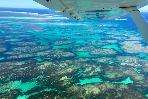 Kalbarri, Pink Lake And Abrolhos Islands Nature Tour - Accommodation Great Ocean Road 5
