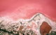 Kalbarri, Pink Lake And Abrolhos Islands Nature Tour - thumb 6