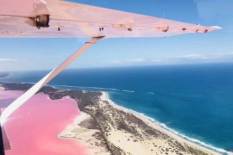 Kalbarri, Pink Lake And Abrolhos Islands Nature Tour - Accommodation Great Ocean Road 4
