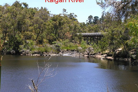 Kalgan Queen Scenic Cruises A Four Hour Sheltered Water Wildlife Tour Daily Fun. - Accommodation Great Ocean Road 3