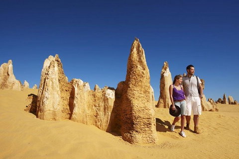 Half Day Pinnacles Sunset Tour - Accommodation Great Ocean Road 7