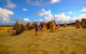 Half Day Pinnacles Sunset Tour - thumb 3