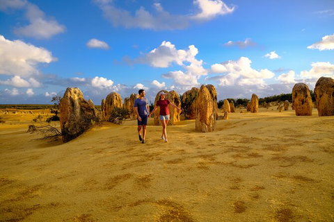 Half Day Pinnacles Sunset Tour - Accommodation Great Ocean Road 3