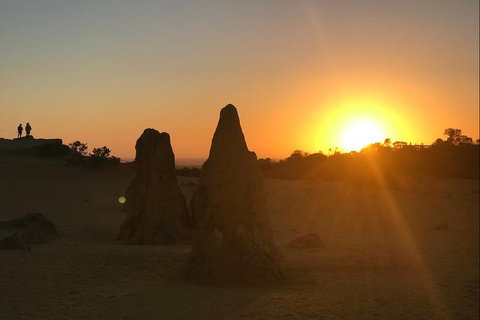Half Day Pinnacles Sunset Tour - Accommodation Great Ocean Road 2