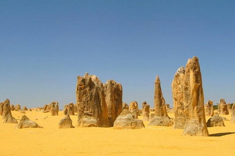 Half Day Pinnacles Sunset Tour - Accommodation Great Ocean Road 6