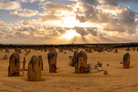 Half Day Pinnacles Sunset Tour - Accommodation Great Ocean Road 4