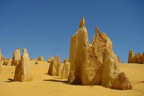 Half Day Pinnacles Sunset Tour - Accommodation Great Ocean Road 5