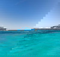 Rottnest Island Settlement Explorer Segway Package from Fremantle - Accommodation Great Ocean Road