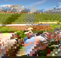 Yarra Valley Wine and Winery Tour from Melbourne - Accommodation Great Ocean Road
