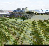 Puffing Billy Train and Yarra Valley Food and Wine Day Trip from Melbourne - Accommodation Great Ocean Road