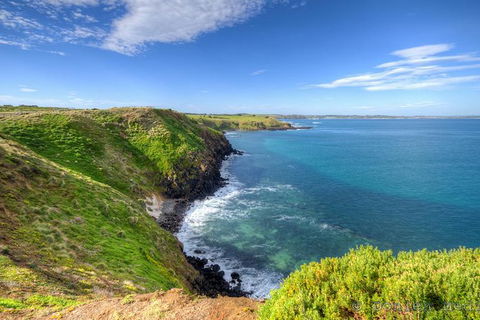 Phillip Island Penguin Parade Entry And Express Shuttle From Melbourne - Accommodation Great Ocean Road 1