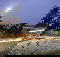 Small-Group Phillip Island Day Trip from Melbourne with Penguin Plus Viewing - Accommodation Great Ocean Road