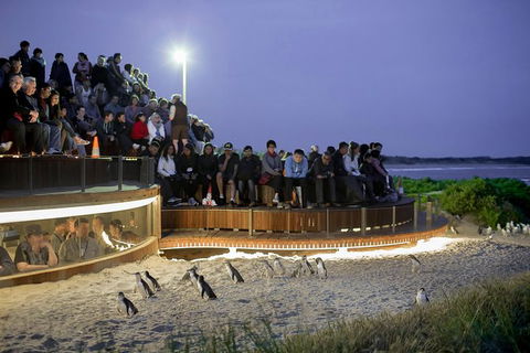 Small-Group Phillip Island Day Trip From Melbourne With Penguin Plus Viewing - Accommodation Great Ocean Road 0