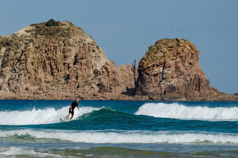 Small-Group Phillip Island Day Trip From Melbourne With Penguin Plus Viewing - Accommodation Great Ocean Road 9