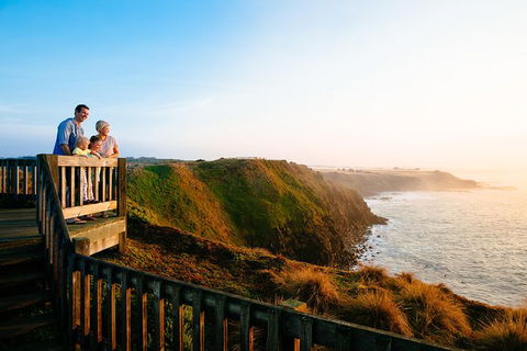 Small-Group Phillip Island Day Trip From Melbourne With Penguin Plus Viewing - Accommodation Great Ocean Road 4