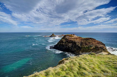 Small-Group Phillip Island Day Trip From Melbourne With Penguin Plus Viewing - Accommodation Great Ocean Road 6