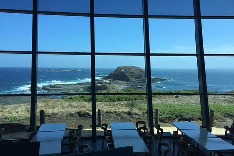 Small-Group Phillip Island Day Trip From Melbourne With Penguin Plus Viewing - Accommodation Great Ocean Road 12
