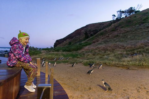 Small-Group Phillip Island Day Trip From Melbourne With Penguin Plus Viewing - Accommodation Great Ocean Road 14