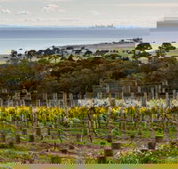 Bellarine Peninsula Small Group Wine Tour with 2 Course Lunch and Morning Tea - Accommodation Great Ocean Road