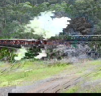 Puffing Billy Dandenong Ranges  Brighton Bathing Boxes  Experience - Accommodation Great Ocean Road