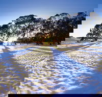 Private Lake Mountain Snow Tour from Melbourne - Accommodation Great Ocean Road