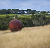 Estate to Plate Montalto Vineyard Gourmet Lunch and Wine-Tasting Tour - Accommodation Great Ocean Road