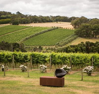 Montalto Vineyard Mornington Peninsula Discovery Wine Tasting and Lunch - Accommodation Great Ocean Road