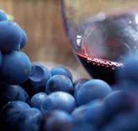 Small Group 6 guests Ultimate Mornington Peninsula Food and Wine - Accommodation Great Ocean Road