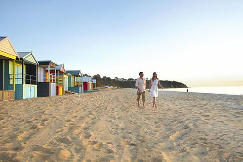 Around The Bay Sightseeing And Bay Cruise - Accommodation Great Ocean Road 6