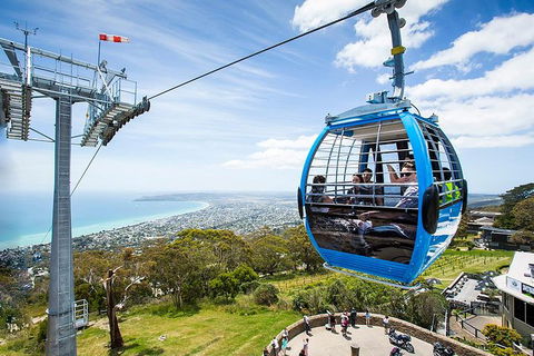 Around The Bay Sightseeing And Bay Cruise - Accommodation Great Ocean Road 8