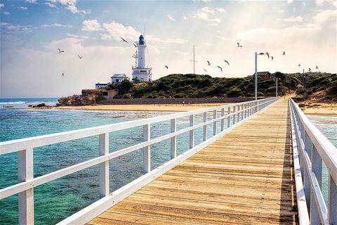 Around The Bay Sightseeing And Bay Cruise - Accommodation Great Ocean Road 9