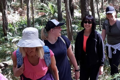 GPS Guided Walks In The Daylesford Forest - Accommodation Great Ocean Road 1