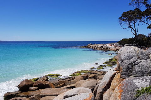 Tasmania 6 Day \'Tour In Circle\' - Accommodation Great Ocean Road 4