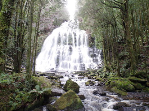 5-Day Best Of Tasmania Tour From Hobart - Accommodation Great Ocean Road 2