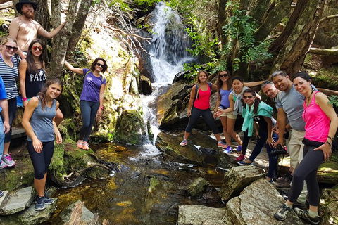 5-Day Best Of Tasmania Tour From Hobart - Accommodation Great Ocean Road 9