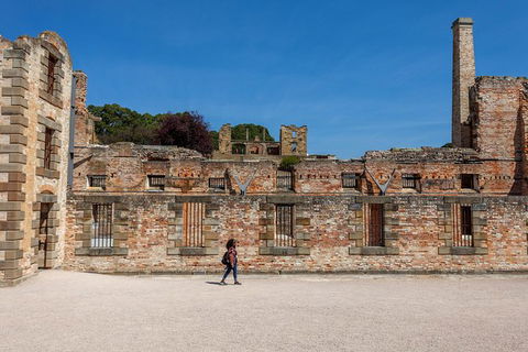 Port Arthur And Tassie Devils Active Day Tour From Hobart - Accommodation Great Ocean Road 7