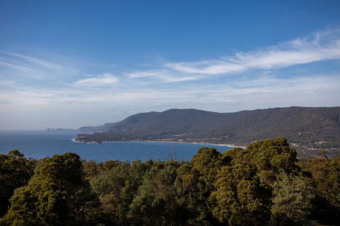 Port Arthur And Tassie Devils Active Day Tour From Hobart - Accommodation Great Ocean Road 4