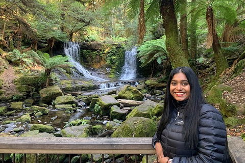 Day Tour In Mt. Field, Mt. Wellington, Bonorong Wildlife Sanctuary And Richmond - Accommodation Great Ocean Road 4