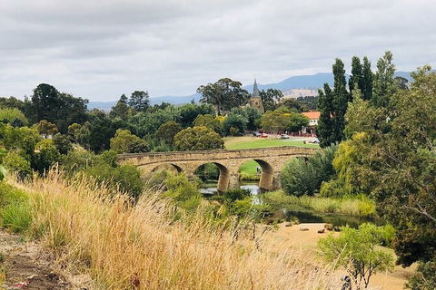 Day Tour In Mt. Field, Mt. Wellington, Bonorong Wildlife Sanctuary And Richmond - Accommodation Great Ocean Road 6