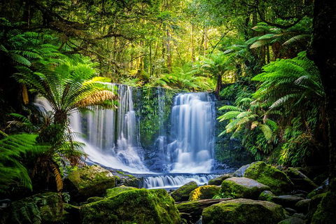 Day Tour In Mt. Field, Mt. Wellington, Bonorong Wildlife Sanctuary And Richmond - Accommodation Great Ocean Road 7