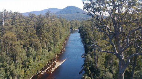 Small-group DayTour From Hobart: Hastings Caves, Huon Valley And Tahune AirWalk - Accommodation Great Ocean Road 3
