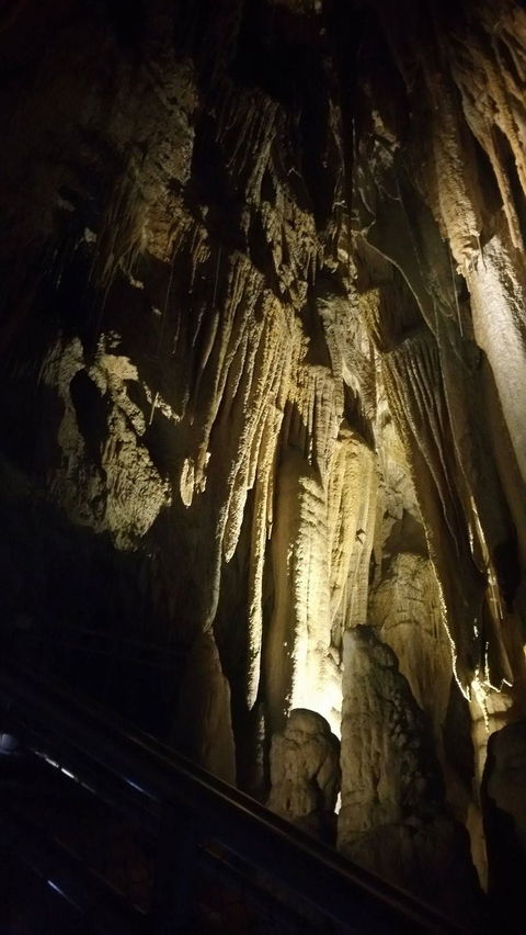 Small-group DayTour From Hobart: Hastings Caves, Huon Valley And Tahune AirWalk - Accommodation Great Ocean Road 5