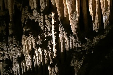 Small-group DayTour From Hobart: Hastings Caves, Huon Valley And Tahune AirWalk - Accommodation Great Ocean Road 1