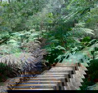 Small-group DayTour from Hobart Hastings Caves Huon Valley and Tahune AirWalk - Accommodation Great Ocean Road