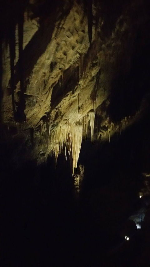 Small-group DayTour From Hobart: Hastings Caves, Huon Valley And Tahune AirWalk - Accommodation Great Ocean Road 7