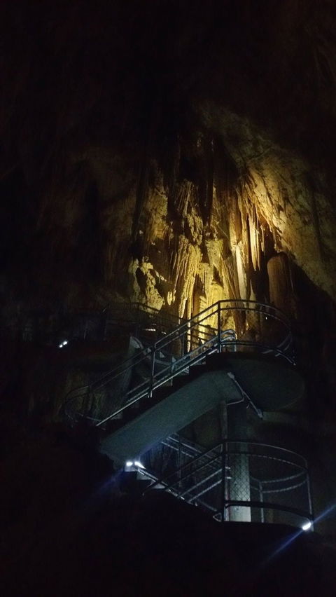 Small-group DayTour From Hobart: Hastings Caves, Huon Valley And Tahune AirWalk - Accommodation Great Ocean Road 4