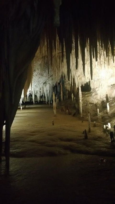 Small-group DayTour From Hobart: Hastings Caves, Huon Valley And Tahune AirWalk - Accommodation Great Ocean Road 8