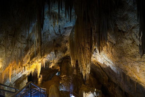 Small-group DayTour From Hobart: Hastings Caves, Huon Valley And Tahune AirWalk - Accommodation Great Ocean Road 19